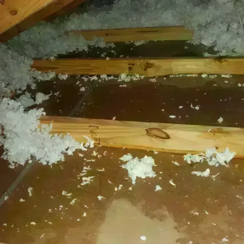 Attic Water Damage in Dewey, OK