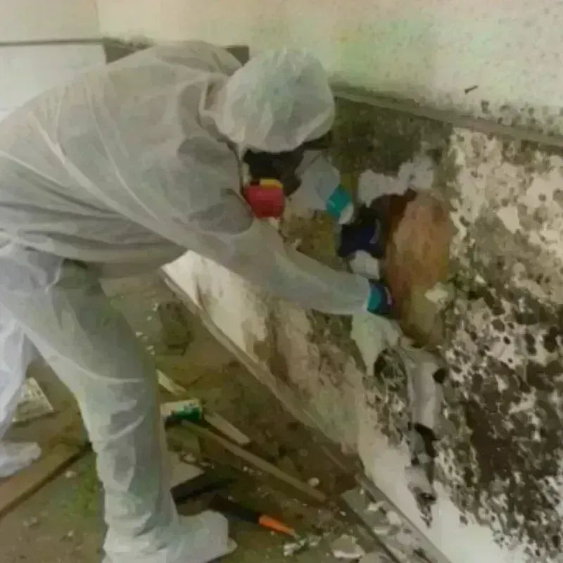 Mold Remediation and Removal in Dewey, OK