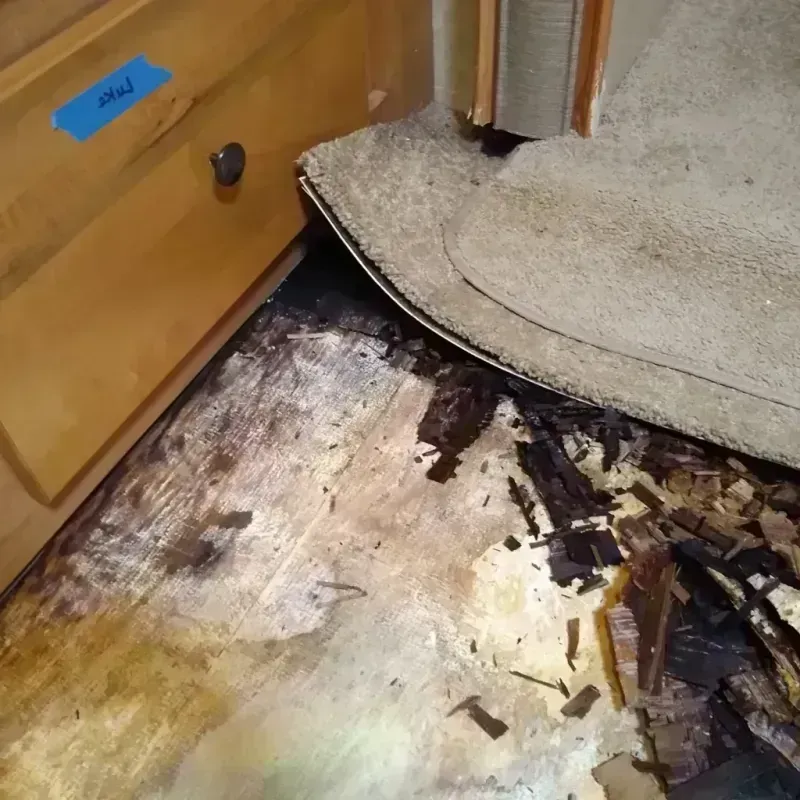 Wood Floor Water Damage in Dewey, OK